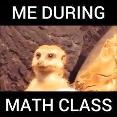 when you dont understand anything in MATH class