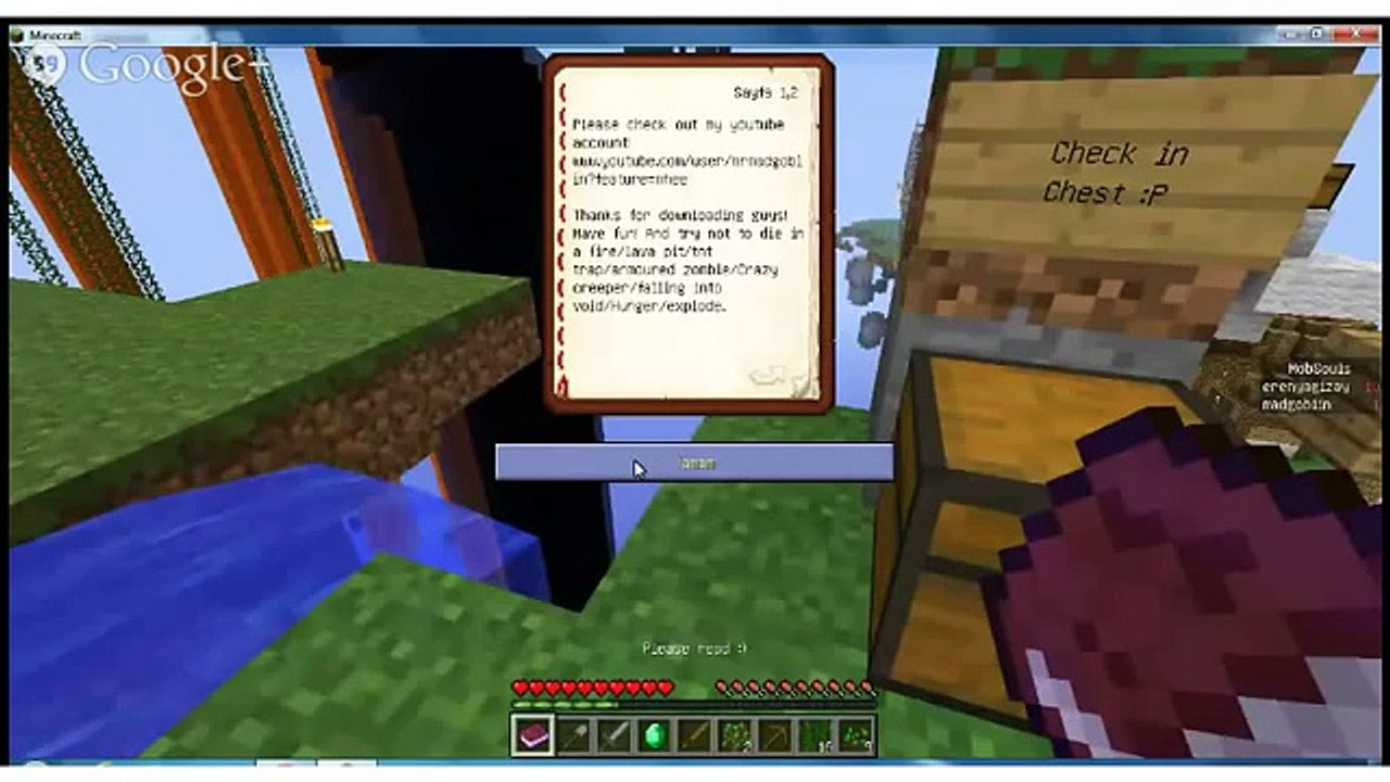 Özel Minecraft videosu