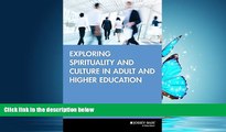 Popular Book Exploring Spirituality and Culture in Adult and Higher Education