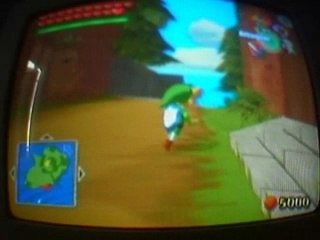 Bug zelda wind waker