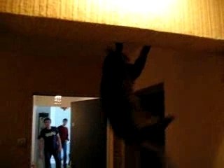 Chouchou le cascadeur