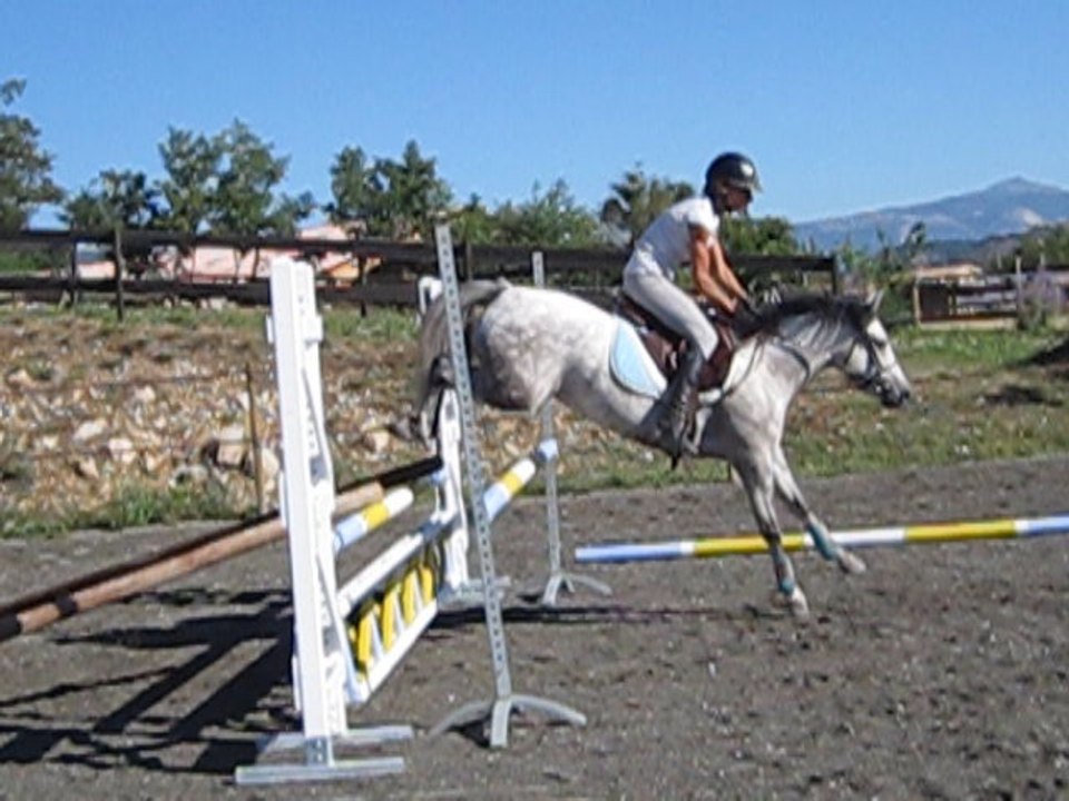 BAMBOULA OBSTACLES