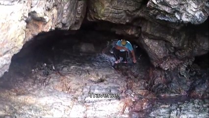 Il a trouvé le nid je crois!