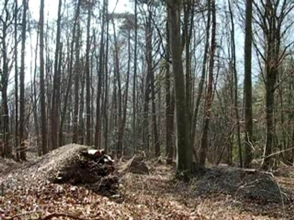 big air au terrain