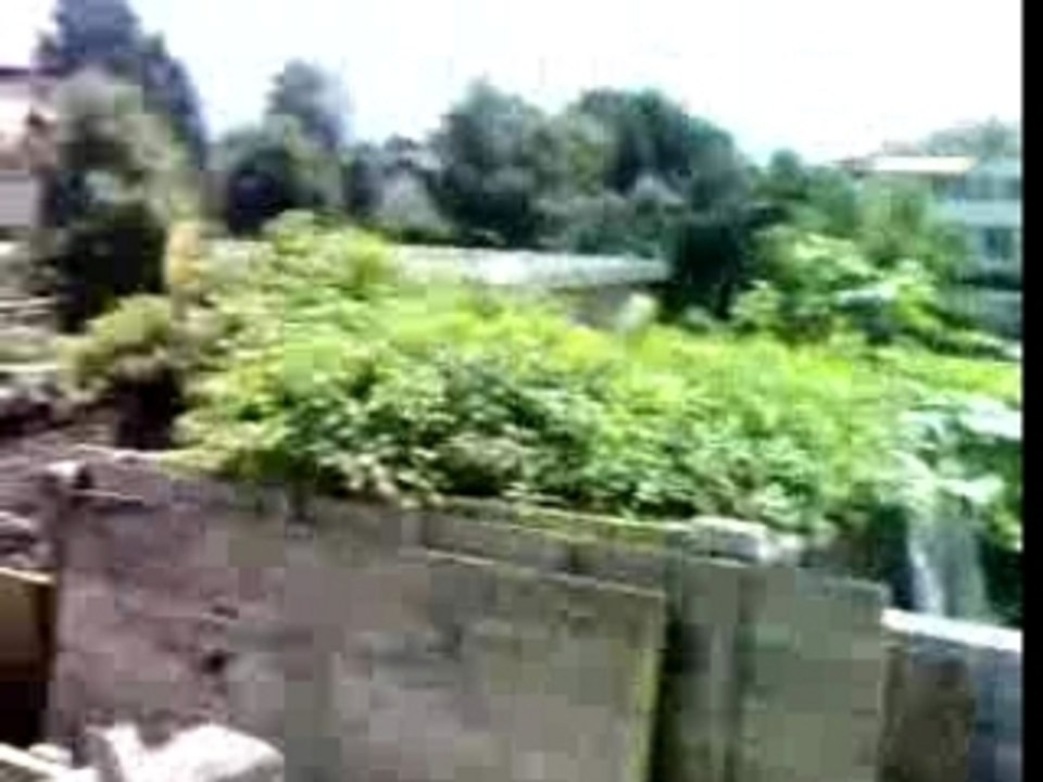 Bizutage de la fin de mon apprentissage de Cuisinier (cfc)