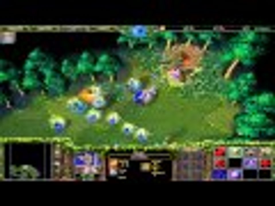 Cùng chơi Warcraft 3 - TFT Episode 1