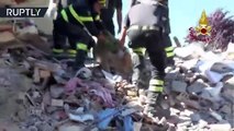 Golden Retriever fue rescatado días después del sismo en Italia