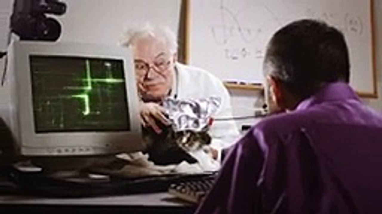 Smart Cat