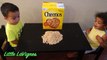 TODDLERS LEARN TO COUNT with Cheerios Numbers kids video!~ Little LaVignes