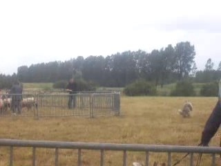 Bliss au CANT  juillet 2007