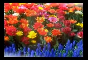 KINH PHẬT DẠY MƯỜI ĐIỀU LÀNH   (ĐĐ THÍCH GIÁC THIỆN BIÊN SOẠN)  .      (11)