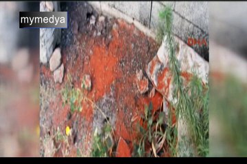 Biber diye odun yedirdiler