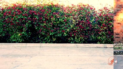 Little Super heroes 9 - The Intern With Spiderman, Supergirl and Captain America