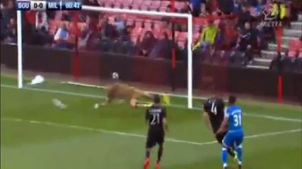 Bournemouth 1-2 AC Milan  - All Goals & Highlights HD  __ International Friendly