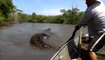 These Fishermen Woke a Sleeping Anaconda and Got What they Deserved.