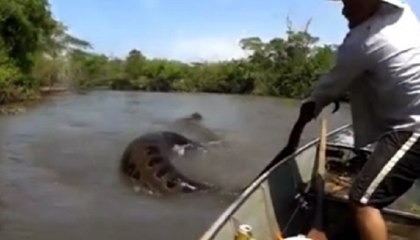 These Fishermen Woke a Sleeping Anaconda and Got What they Deserved.