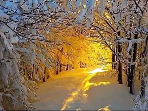 Starend kijk ik om mij heen...-Df1SQQw3y1w-HQ