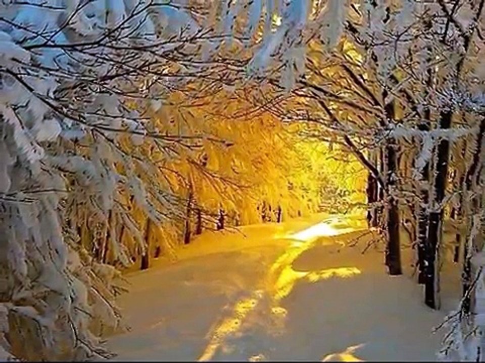 Starend kijk ik om mij heen...-Df1SQQw3y1w-HQ