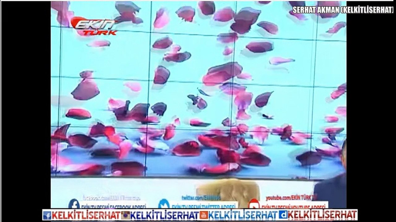 MUSTAFA KÜÇÜK & CİHAN KÜÇÜK - KURU YAPRAK GİBİ