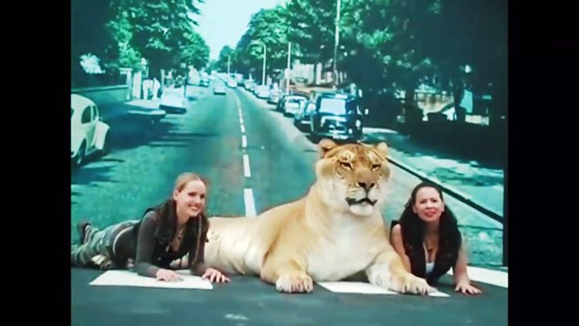 5 САМЫХ НЕОБЫЧНЫХ ЖИВОТНЫХ