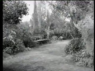 Mister Ed S6 | TV Or Not TV