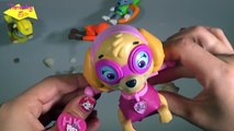Juguetes Baño Patrulla Canina Nadadora - Paw Patrol juguetes - Paw Patrol Bath Paddling Pup toys
