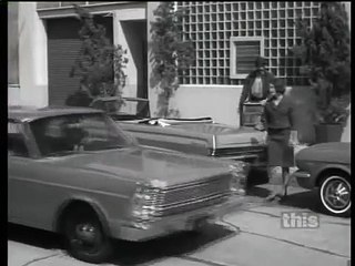 Mister Ed S6 | Anybody Got A Zebra