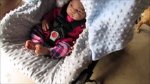 Reborn Baby Doll Travel System & Carseat Canopy Review! I All4Reborns.com