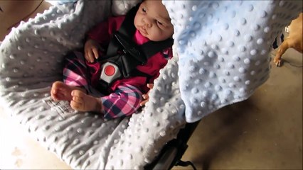Reborn Baby Doll Travel System & Carseat Canopy Review! I All4Reborns.com