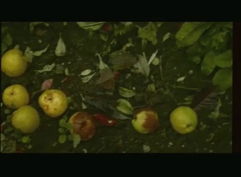 Marc Lavoine - J'Ai Tout Oublié