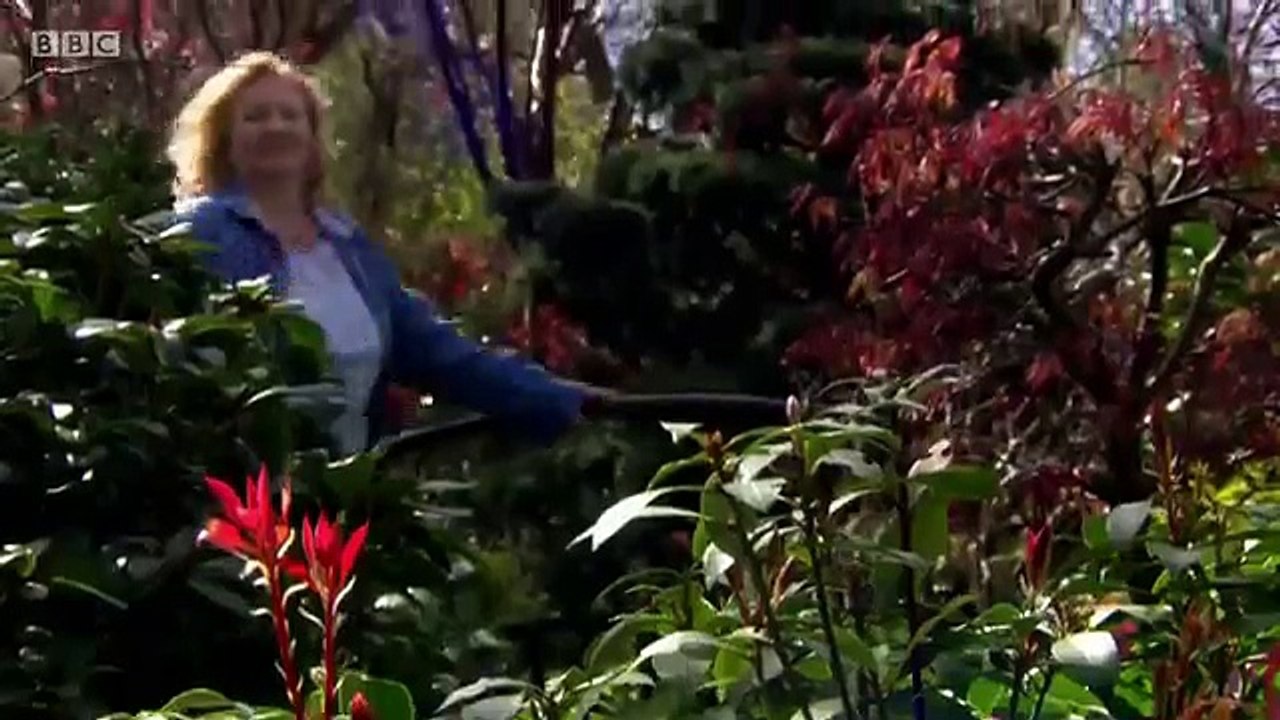 Garden Rescue S01E19 HD