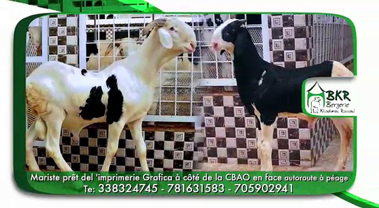 Bergerie Khadim Rassoul  , Achetez un mouton moins cher