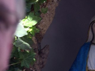 Mère Teresa, au service des plus pauvres, canonisée par le pape François