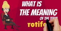 What is ROTIFER? What does ROTIFER mean? ROTIFER meaning, definition, explanation & pronunciation