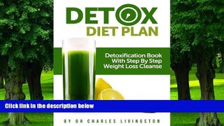 Big Deals  Detox Diet Plan: Detoxification Book With Step By Step Weight Loss Cleanse  Best Seller