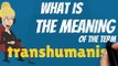 What is TRANSHUMANISM? What does TRANSHUMANISM mean? TRANSHUMANISM meaning, definition, explanation & pronunciation