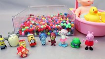 Baby Doll Bath Time Tayo the Little Bus English Learn Numbers Colors Toy Surprise