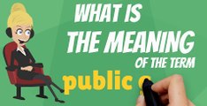 What is PUBLIC GOOD? What does PUBLIC GOOD mean? PUBLIC GOOD meaning, definition, explanation & pron