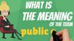 What is PUBLIC GOOD? What does PUBLIC GOOD mean? PUBLIC GOOD meaning, definition, explanation & pronunciation