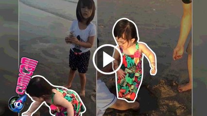 Main Pasir Pantai, Tingkah Arsy Menggemaskan - Cumicam 04 September 2016