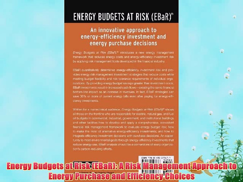 [PDF] Energy Budgets at Risk (EBaR): A Risk Management Approach to Energy Purchase and Efficiency