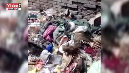بالفيديو.. "حيوانات نافقة ومقالب زبالة" تستقبل طلاب مدارس شبرا الخيمة.
