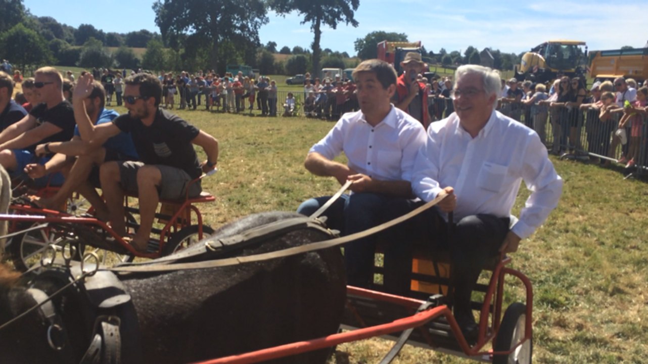 Courses d'ânes au comice