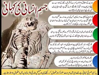 Mulana Tariq Jameel sb