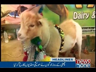 NewsONE Headlines 3PM, 4-Sep-2016