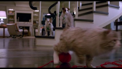 MA VIE DE CHAT - "J'ai été un vilain minou... !" - Extrait VF (Kevin Spacey - 2016)