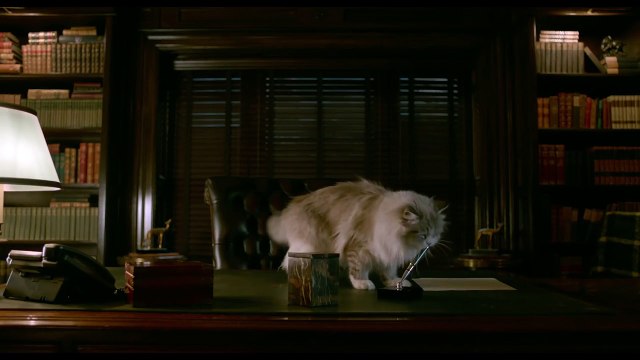 MA VIE DE CHAT - Chat + Stylo = Zéro ! - Extrait VF (Kevin Spacey - 2016)