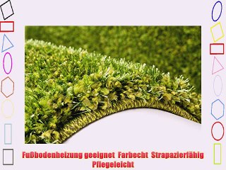 Lalee 347250691 Hochwertiger und moderner Hochflor Langflor Shaggy Teppich 120 x 170 cm grÃ¼n