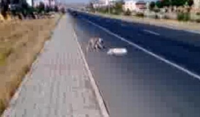 Ölen arkadaşıın başından ayrılmadı