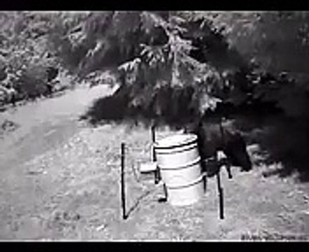 220 Volt Elektrikli Çit İle Ayıların Testi